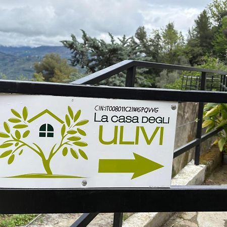 Villa La Casa Degli Ulivi Camporosso  Exterior foto